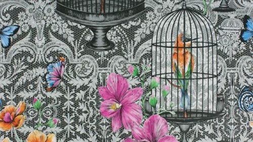 Orangery Charcoal-Pink-Orange-Cobalt W71